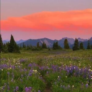 Meet your Posher, Britney